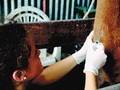 Premian al INTA por un desarrollo contra el rotavirus