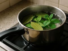 Hervir hojas de laurel con menta en casa: para qué sirve y por qué recomiendan hacerlo