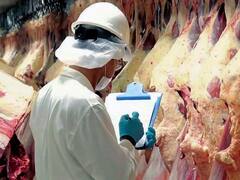 Cepo a la carne: para ACDE la medida "repite errores cuyo fracaso fue evidente"