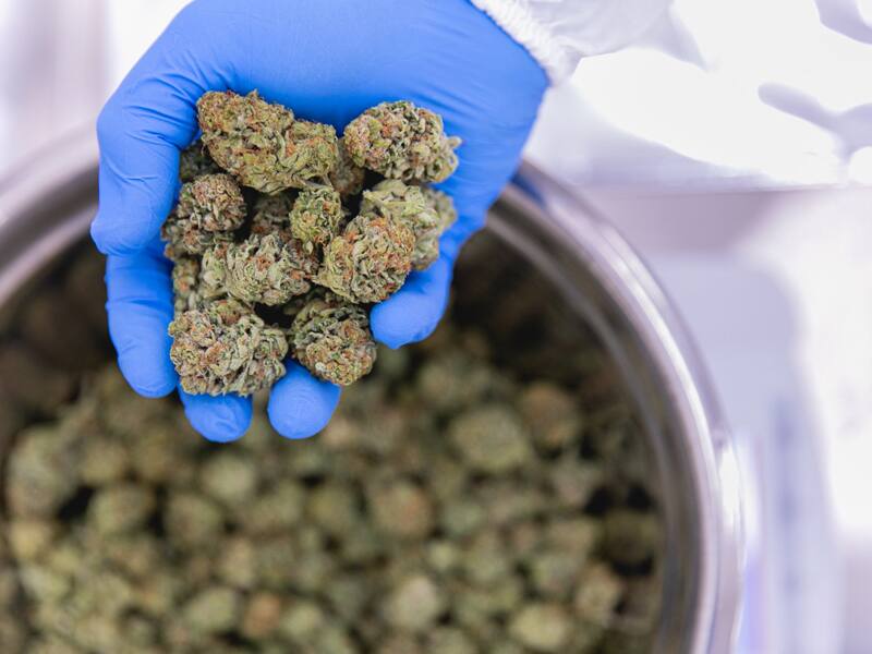 Flextem Biopharma presentó dos variedades de Flores como Producto de Exportación (FcPE).