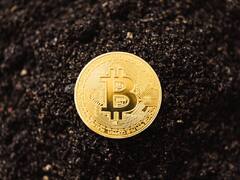 Bitcoin Cash y euro: a cuánto abren la cotización hoy viernes 7 de febrero