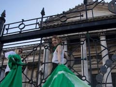 Tensión en el Senado porque bloquearon el ingreso a diputadas