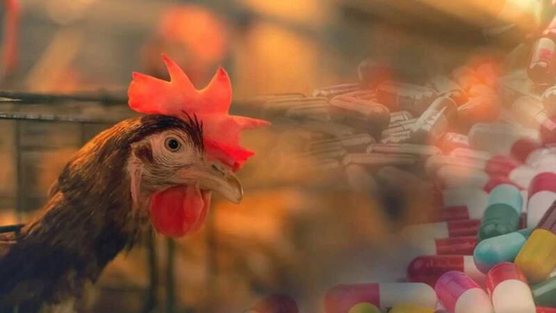 Cifras alarmantes de muertes por estas bacterias. Fuete: OMS.