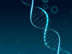 Cambia la genética para siempre: científicos chinos clonan a una de las bestias más temidas del mundo