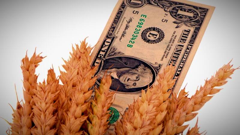 Las ganancias extraordinarias por la guerra en Ucrania, en la mira del Gobierno