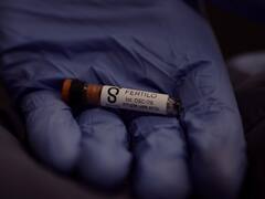 Fertilización in vitro: lanzan en Argentina una nueva tecnología que reduce la carga física y emocional de las pacientes