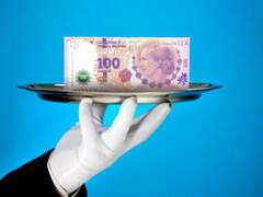 Por qué las Lelites generan desconfianza en buena parte del mercado