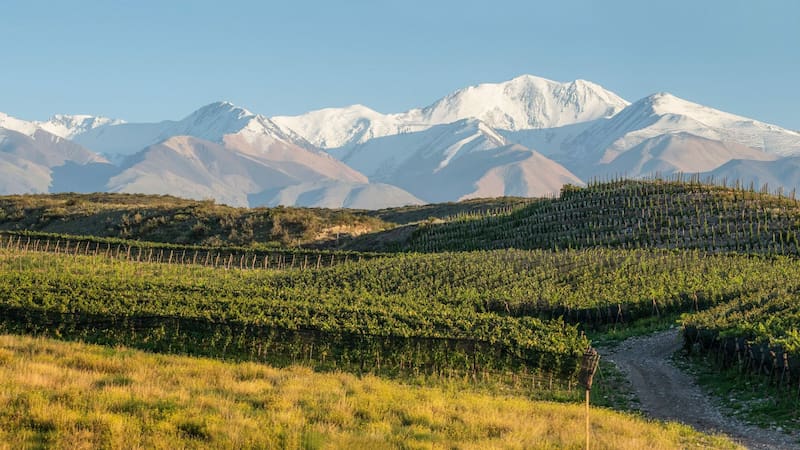 <div class="migrated-promo-image__description"><div class="migrated-promo-image__source">Fuente: Gualtallary, Valle de Uco, Mendoza - Foto de Zuccardi Valle de Uco</div></div>