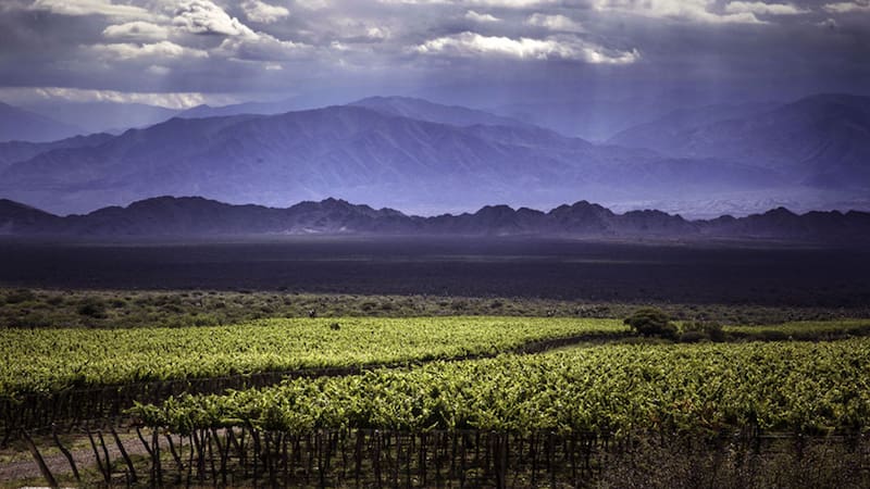 Una distinción que pone al norte argentino en el radar del enoturismo mundial.