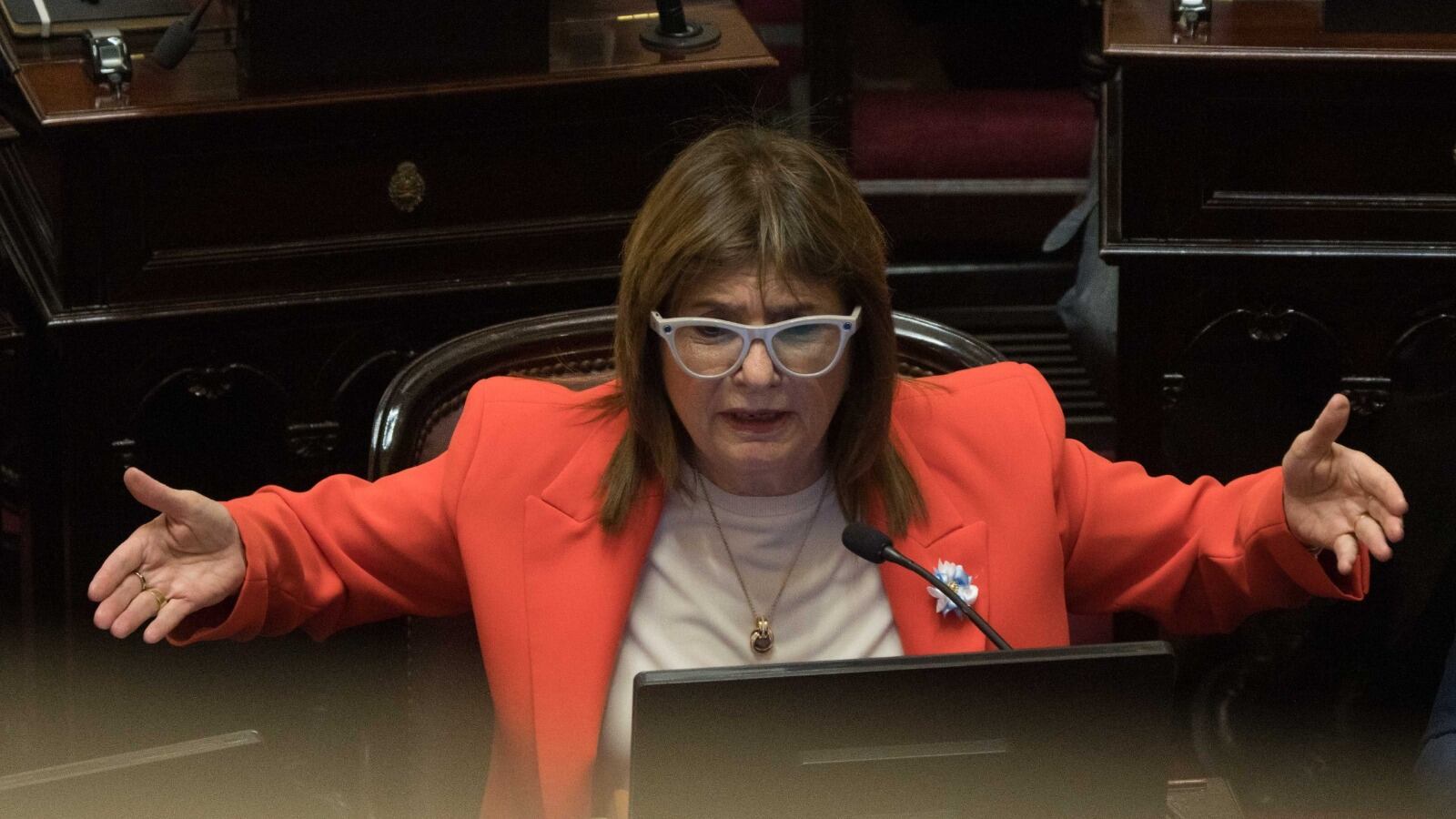 La senadora Patricia Bullrich, exministra de Seguridad de Milei, aparece primera con el mayor porcentaje de imagen positiva.