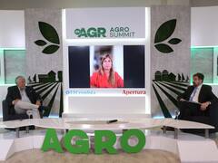 "El Gobierno tiene que tentar al productor": tres expertos analizan la realidad local