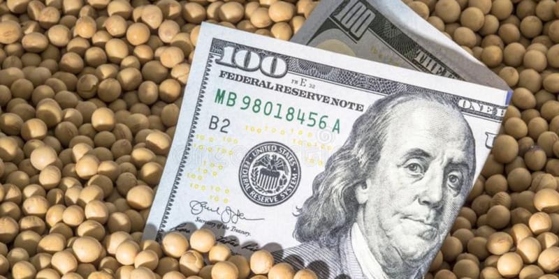 Los dólares del campo también están sujetos al acuerdo con el FMI.