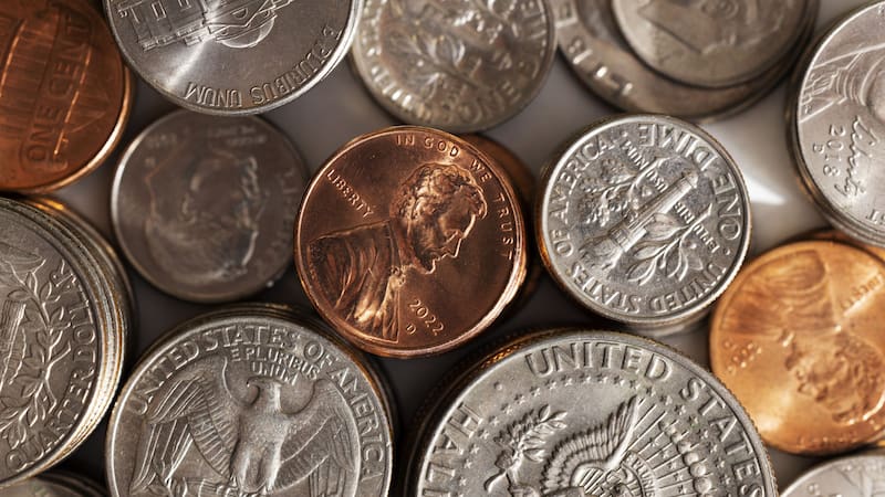 Este ejemplar oculta una historia de rareza.