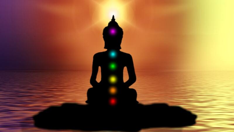 El Horóscopo Chino detalla sobre los 3 animales que encontrarán la paz mental antes del 8 de mayo.