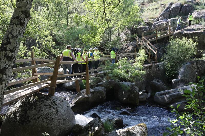 Los puentes están hechos de madera. Fuente: EFE.