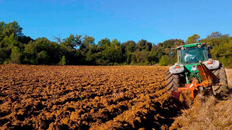Arroceros de Colombia inician medidas de fuerza ante la falta de acuerdo con el Gobierno.