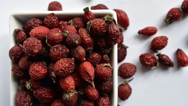 Escaramujo: el fruto lleno de vitamina C y antioxidantes que ayuda a aliviar "todos los dolores".