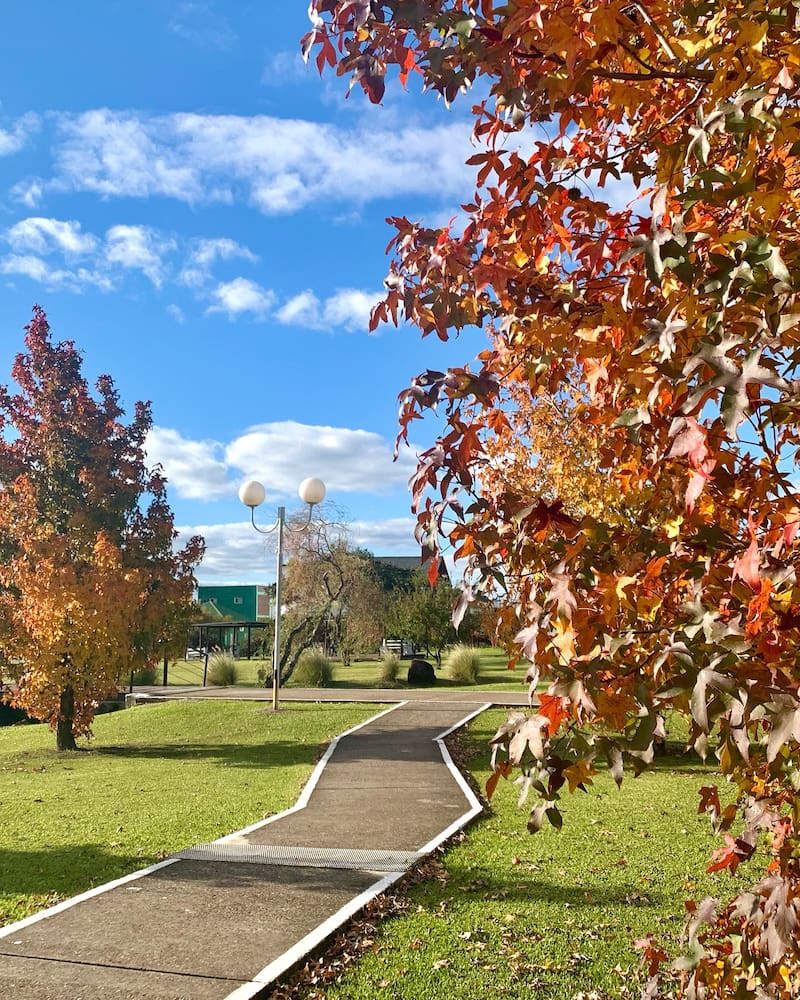 La entrada general a las termas es económica, con tarifas que varían según la edad y el lugar de residencia. (Fuente: Instagram @termaschajari)