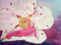 El perfume de Gucci inspirado en Miley Cyrus tiene su equivalencia low cost: consíguela por 14,37 euros