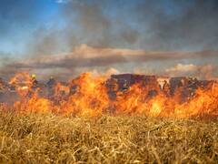 Así se vivirá el fenómeno de "La Niña" en Argentina: cuándo llegará y cuáles son sus consecuencias