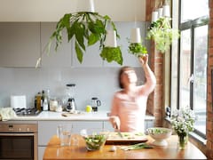 Cómo armar una huerta en casa, calendario de siembra en casa para tener frutas y verduras en tu casa