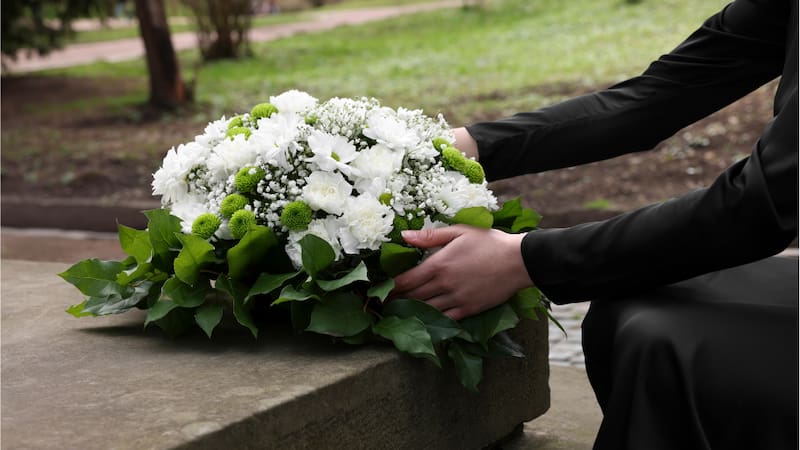 <div class="migrated-promo-image__description"><div class="migrated-promo-image__source">Fuente: Canva</div></div>