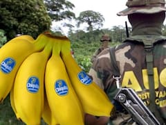 Condenan a altos directivos de compañía bananera multinacional: 11 años de cárcel para jefes de Chiquita Brands por delitos junto a paramilitares