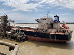 El Canal Magdalena, el árbol y el bosque