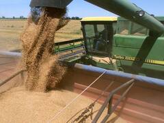 Pese al buen clima, se estancará la producción nacional de granos