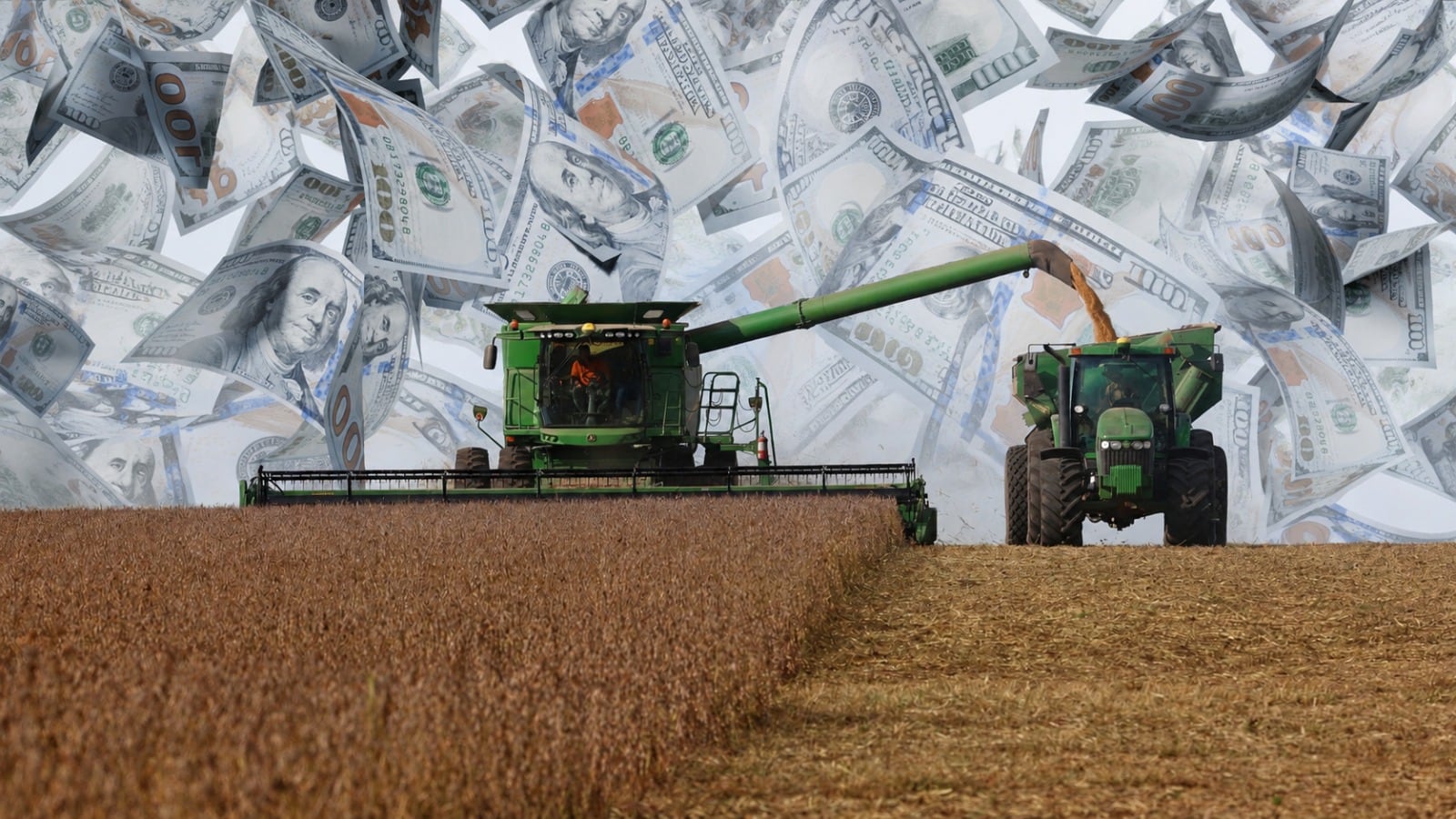 La estrategia del campo: cuáles son los sectores con mejor rentabilidad
