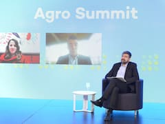 El clima causó una caída del 60% en la recaudación de la temporada anterior