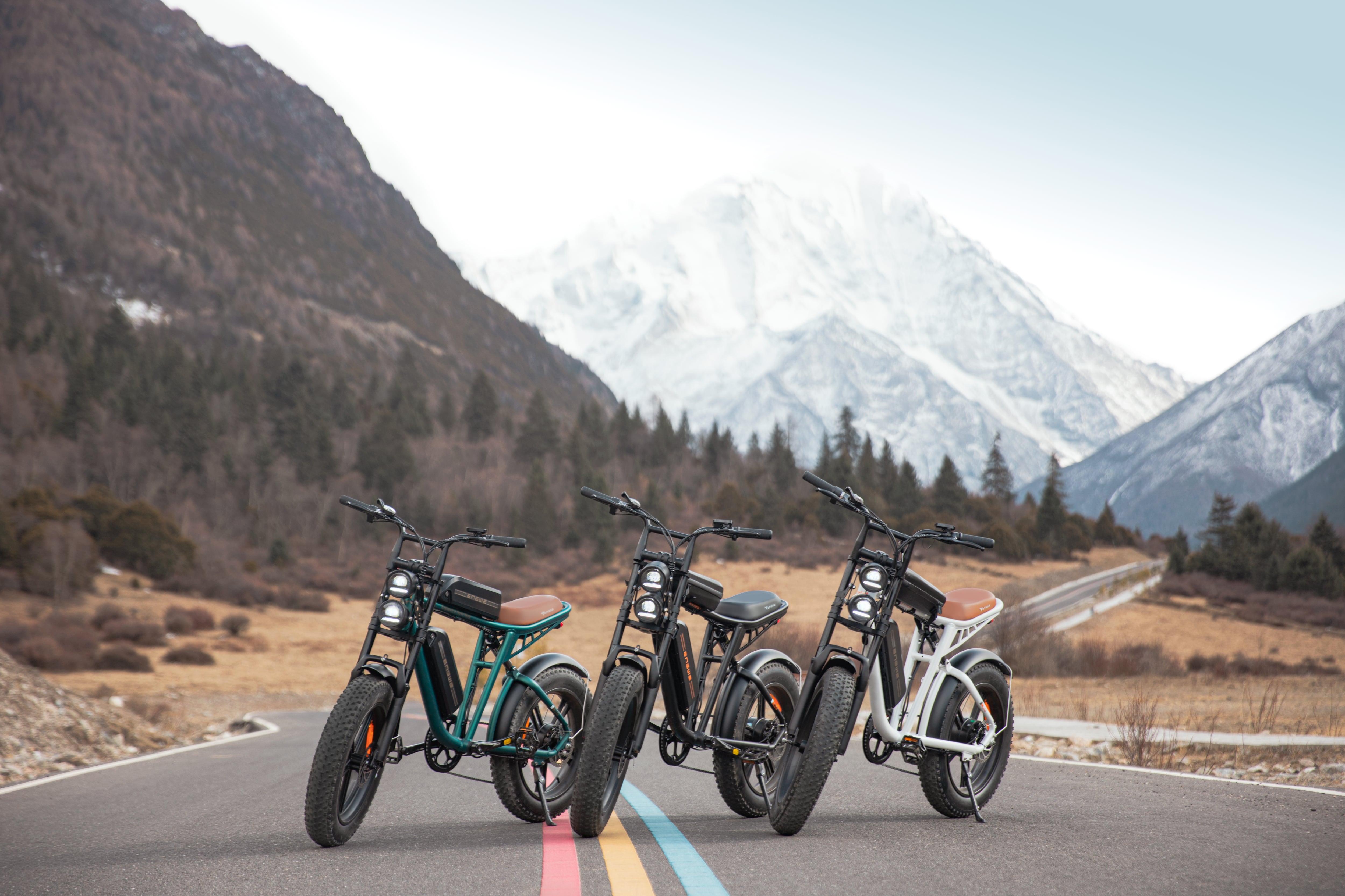 Una marca internacional invierte u$s 300.000 para entrar al mercado local de bicicletas eléctricas