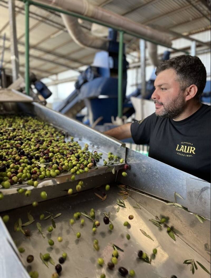 Laur elabora aceite de oliva desde 1889; en 2012, pasó a pertenecer a la familia mendocina Millán.