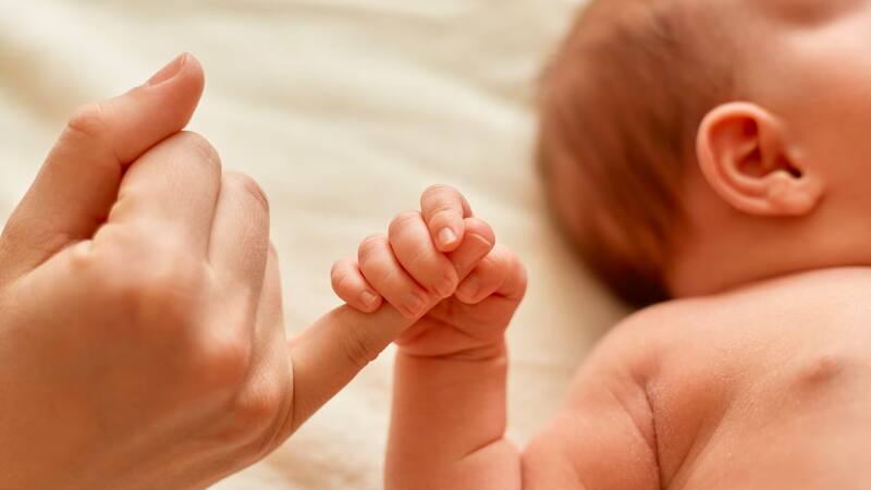 Según reveló el INE, la natalidad bajo un 27,6% desde 2012.