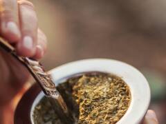 Adiós al cansancio: el yuyo para agregar al mate que potencia tu energía