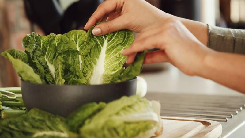 <div class="migrated-promo-image__description"><div class="migrated-promo-image__source">Fuente: Freepik</div></div>