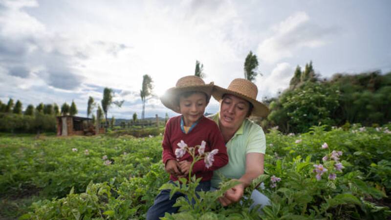 <div class="migrated-promo-image__description"><div class="migrated-promo-image__source">Fuente: iStock</div></div>