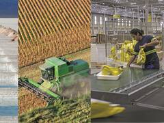 Remar en círculos: ganadores y perdedores del mundo de los negocios en un desafiante 2022