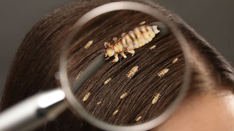 <div class="migrated-promo-image__description"><div class="migrated-promo-image__source">Fuente: Shutterstock</div></div>