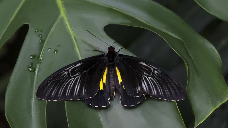 <div class="migrated-promo-image__description"><div class="migrated-promo-image__source">Fuente: Freepik</div></div>