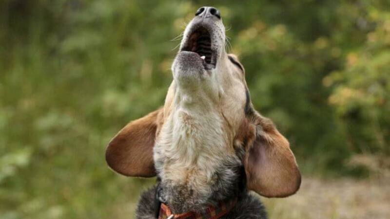 <div class="migrated-promo-image__description"><div class="migrated-promo-image__source">Fuente: pixabay</div></div>