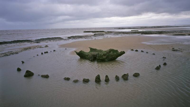 <div class="migrated-promo-image__description"><div class="migrated-promo-image__source">Fuente: Alamy Stock Photo</div></div>