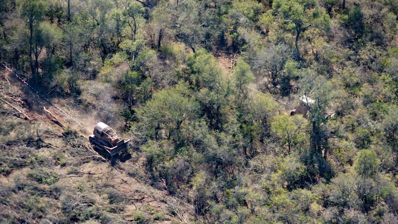 <div class="migrated-promo-image__description"><div class="migrated-promo-image__source">Fuente: Greenpeace</div><div class="migrated-promo-image__author">Greenpeace</div></div>