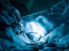 Científicos revivieron una especie que vivió hace más de 45.000 años que permaneció congelado en Siberia