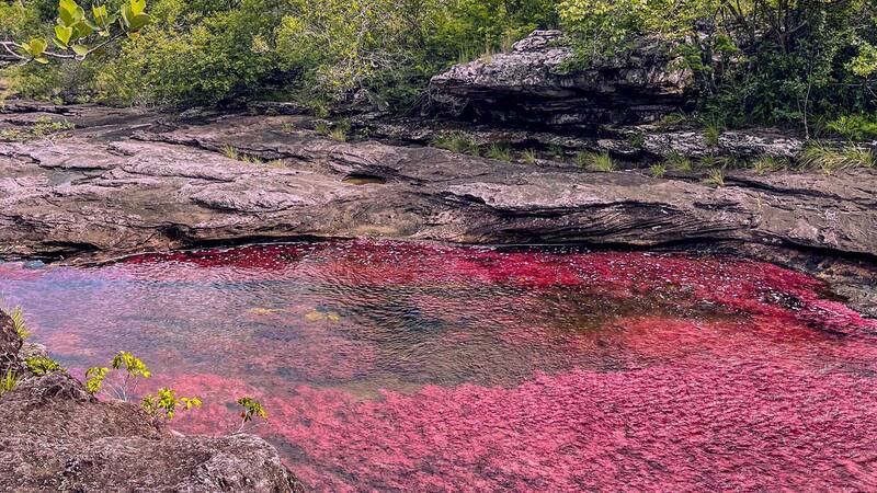 <div class="migrated-promo-image__description"><div class="migrated-promo-image__source">Fuente: NTDS | Awake Travel</div></div>