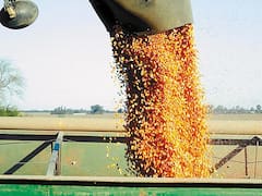 Retenciones: con la nueva fórmula, la soja deberá pagar 28,5% y los cereales cerca de 11%