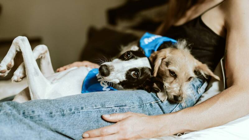 <div class="migrated-promo-image__description"><div class="migrated-promo-image__source">Fuente: Unsplash</div></div>