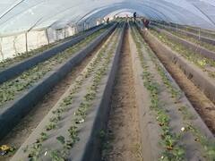 Tierra del Fuego: empresa china invertirá u$s 1250 millones para producir fertilizantes