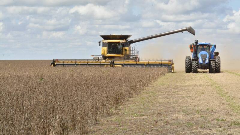 El arranque de la cosecha de soja da la pauta de una muy buena campaña