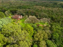 La centenaria estancia misionera en la que podés ver la historia de la yerba mate en Argentina